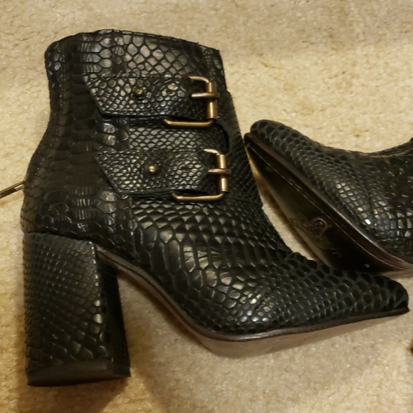 Freebird - Picture 3 of 3